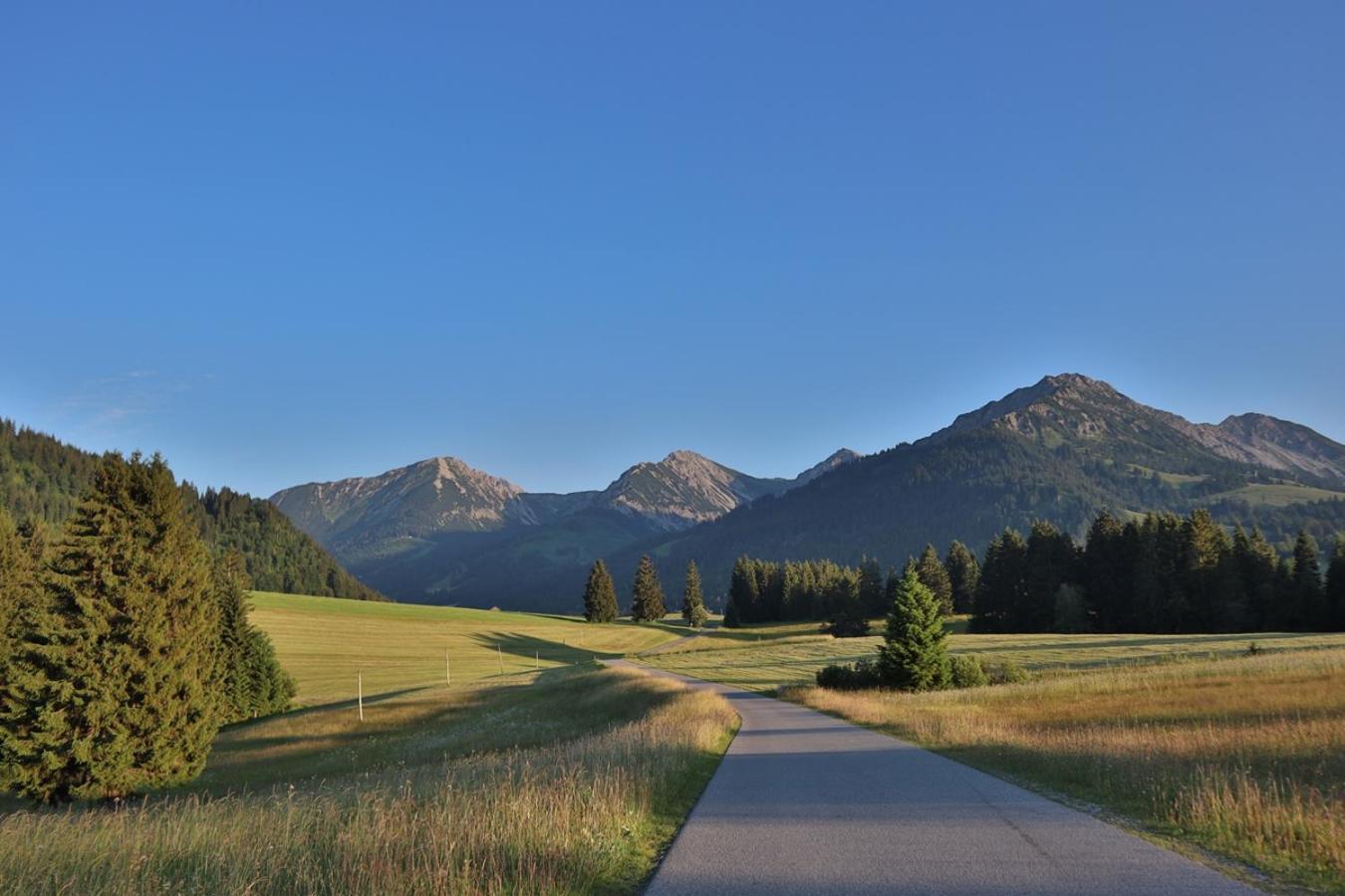 Ruhehotel & Naturresort Rehbach - Adults Only Schattwald Extérieur photo